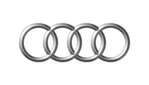 audi ecu files